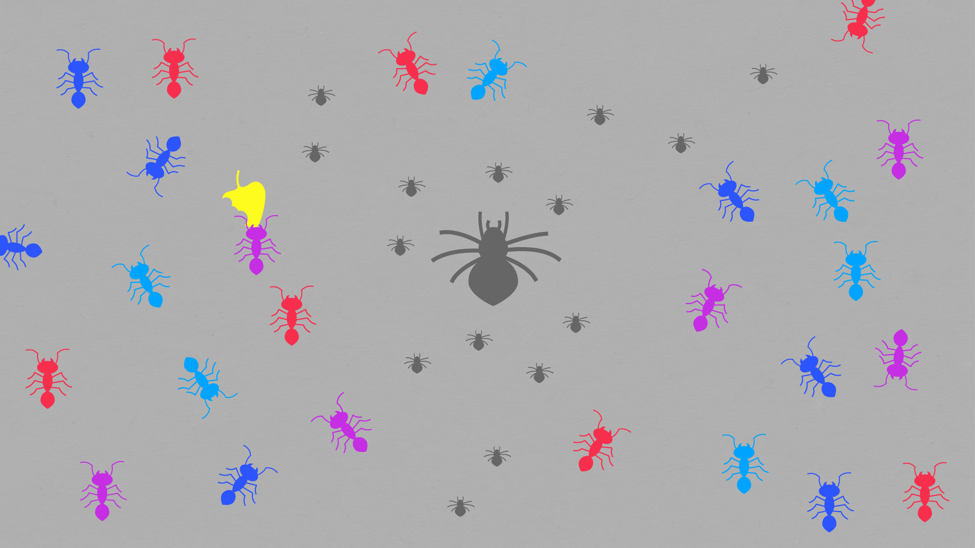 Spiders and ants